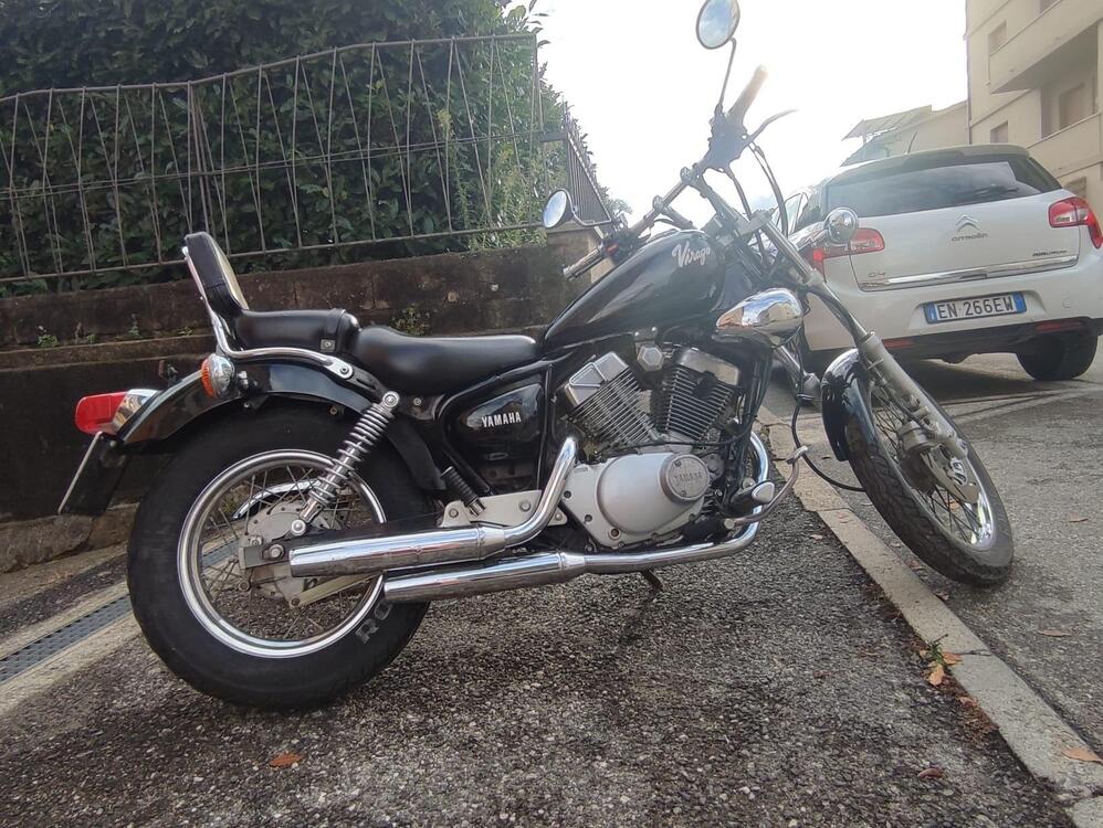 Yamaha XV 250 Virago (3)