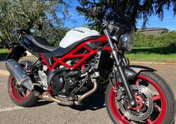 Suzuki SV650 (2021 - 24) usata