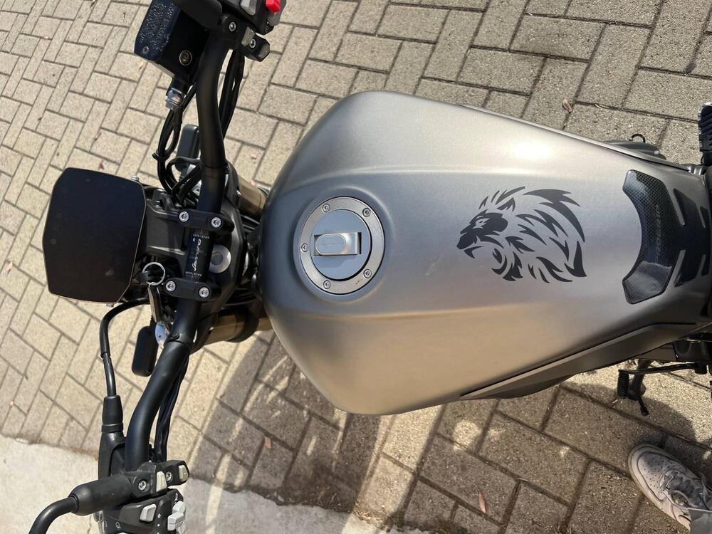 Benelli Leoncino 800 (2022 - 25) (5)