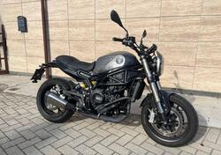 Benelli Leoncino 800 (2022 - 25) usata