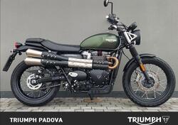 Triumph Scrambler 900 (2023 - 25) usata