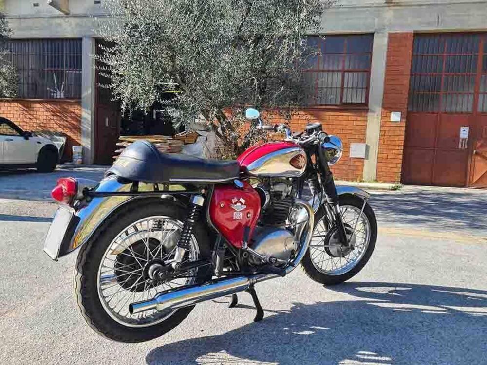 Bsa 650 LIGHTINING (3)