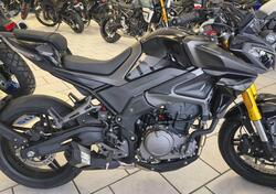 Morbidelli F352 (2026) nuova