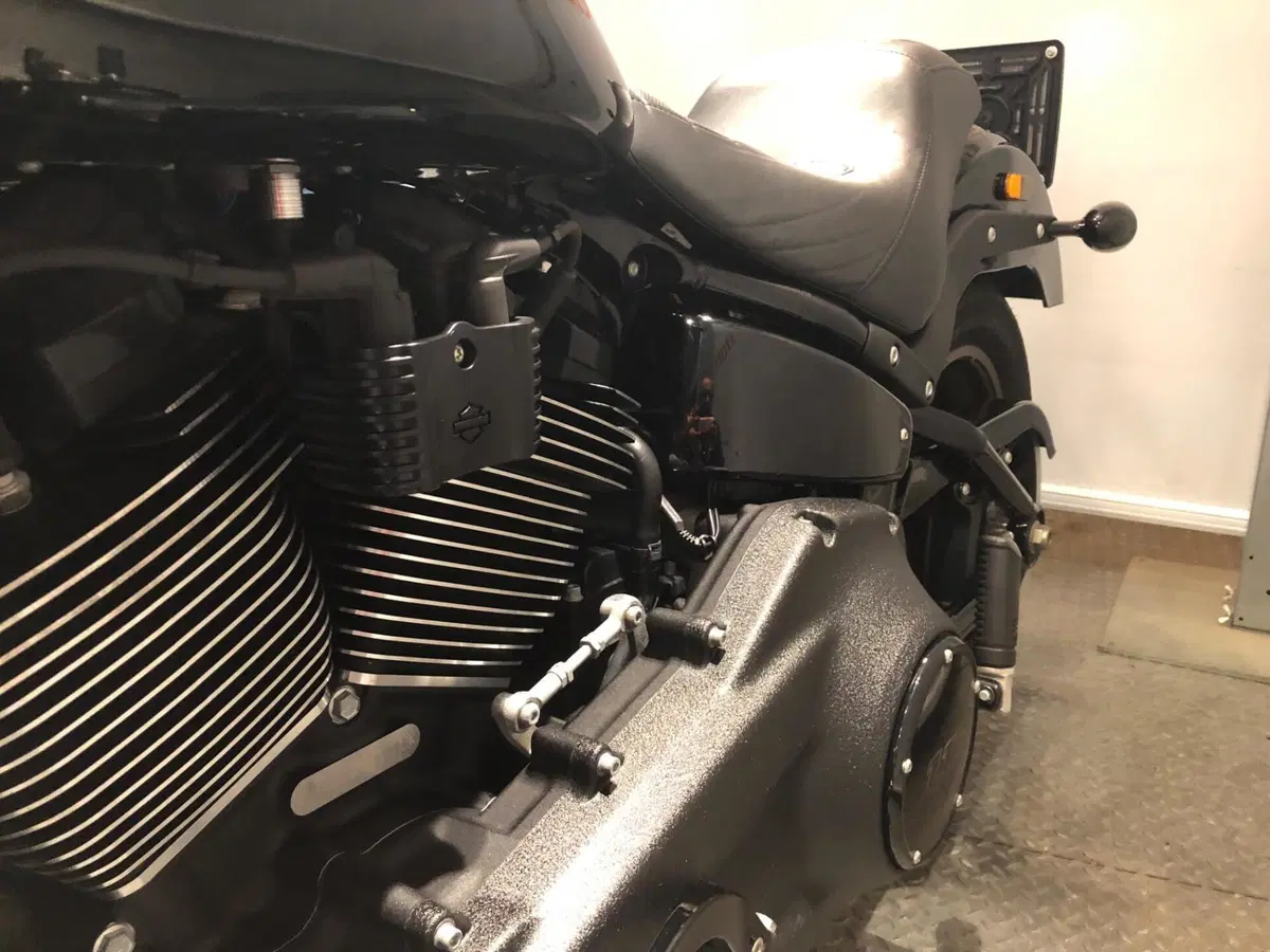Harley-Davidson Low Rider S (2022 - 24) (4)