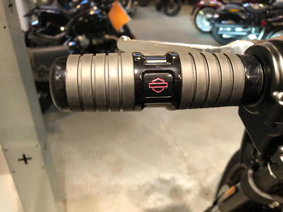 Harley-Davidson Low Rider S (2022 - 24) (6)