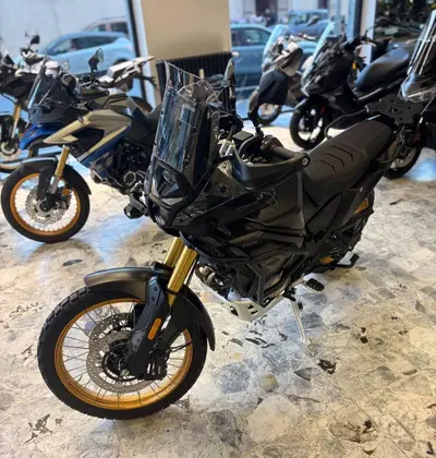 Voge Valico 800DSX Rally (2025 - 26) nuova