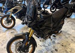 Voge Valico 800DSX Rally (2025) nuova