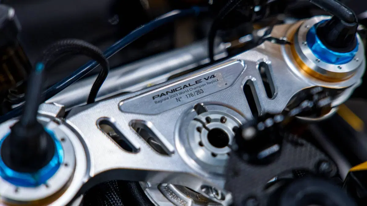 Ducati Panigale V4 Bagnaia 2022 World Champion Replica (2023) (10)