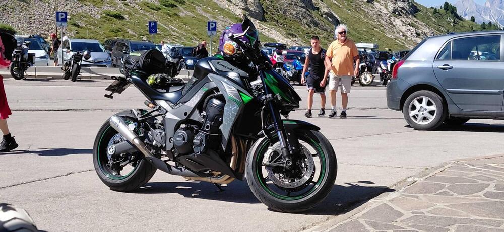 Kawasaki Z 1000 R (2017 - 20) (2)