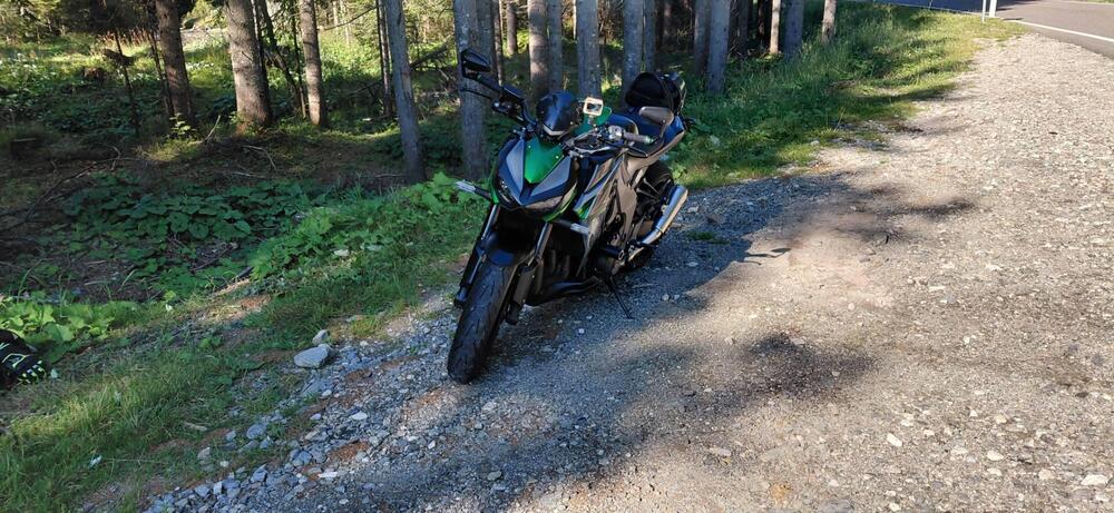 Kawasaki Z 1000 R (2017 - 20) (3)