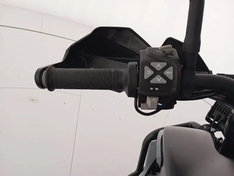 KTM 890 Adventure L (2021) (9)