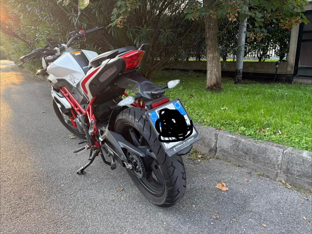 Benelli BN 125 (2018 - 20) (3)