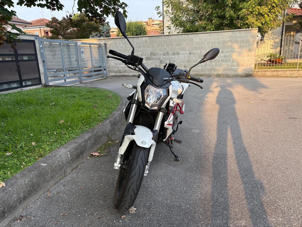 Benelli BN 125 (2018 - 20) (4)