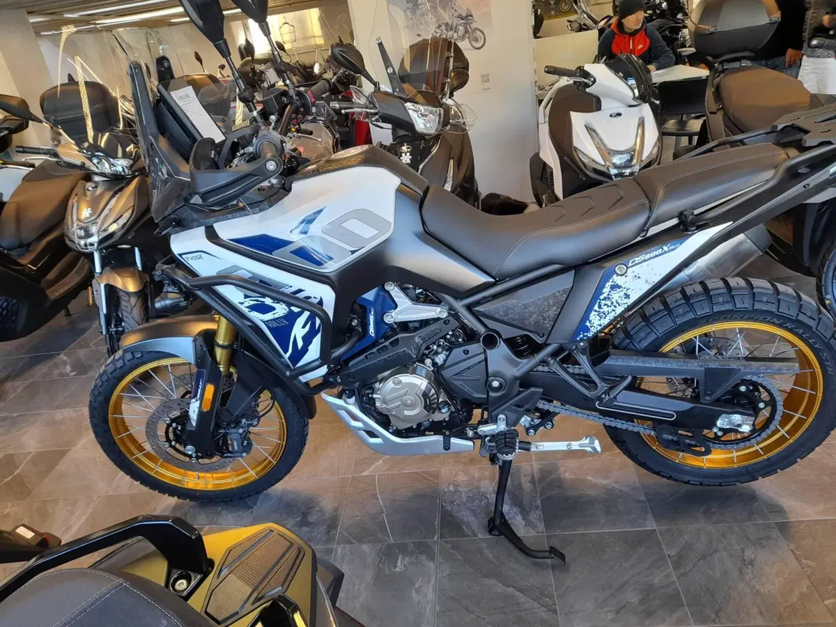 Voge Valico 800DSX Rally (2025 - 26)
