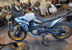 Voge Valico 800DSX Rally (2025) nuova