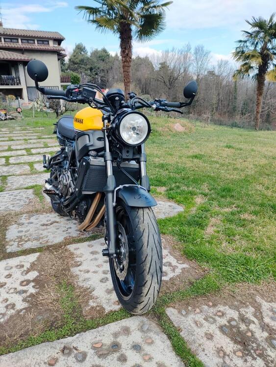 Yamaha XSR 700 ABS 60th Anniversary (2016 - 18) (3)