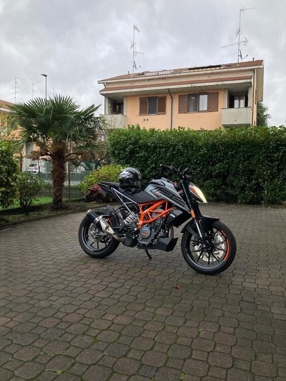 KTM 125 Duke (2021 - 23) (5)