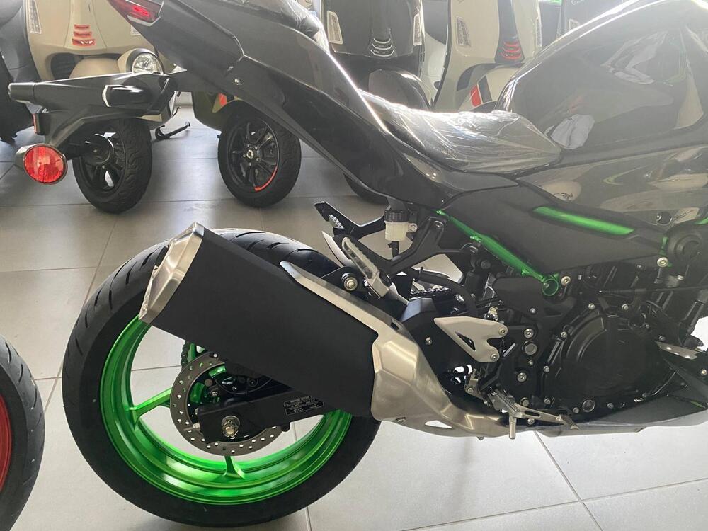 Kawasaki Z 500 SE (2024 - 26) (5)