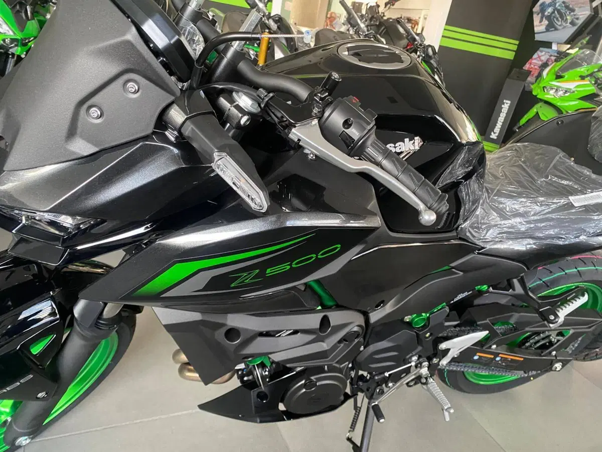 Kawasaki Z 500 SE (2024 - 26) (6)