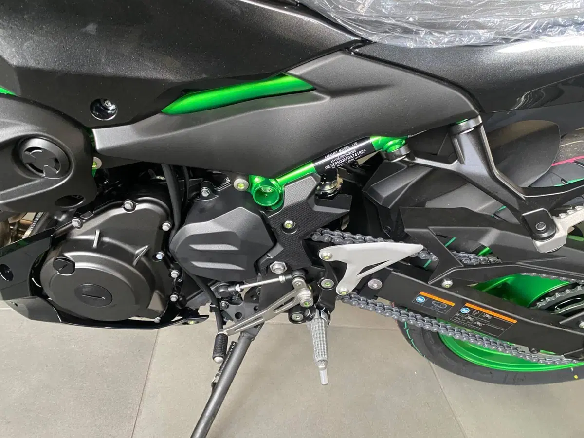 Kawasaki Z 500 SE (2024 - 26) (7)