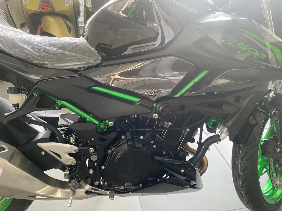 Kawasaki Z 500 SE (2024 - 26) (8)