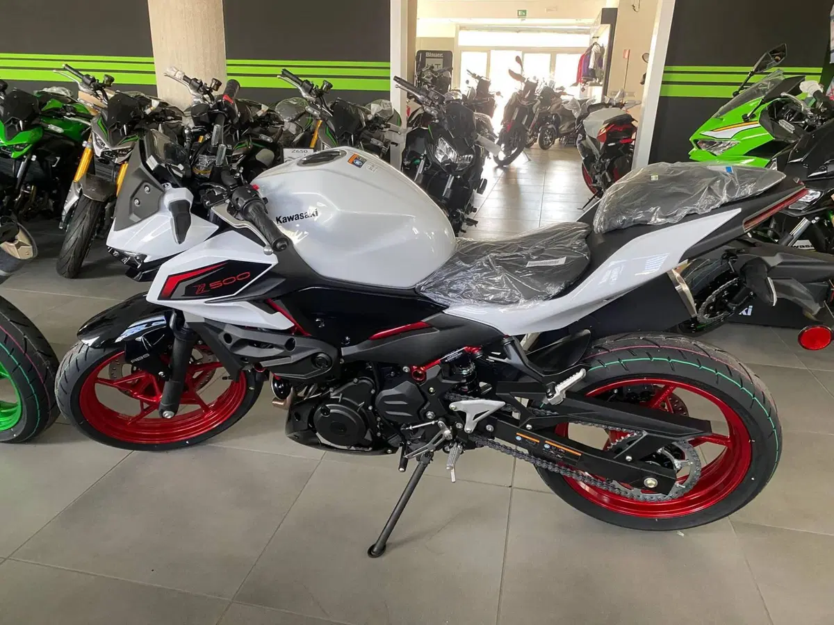 Kawasaki Z 500 (2024 - 26) (3)