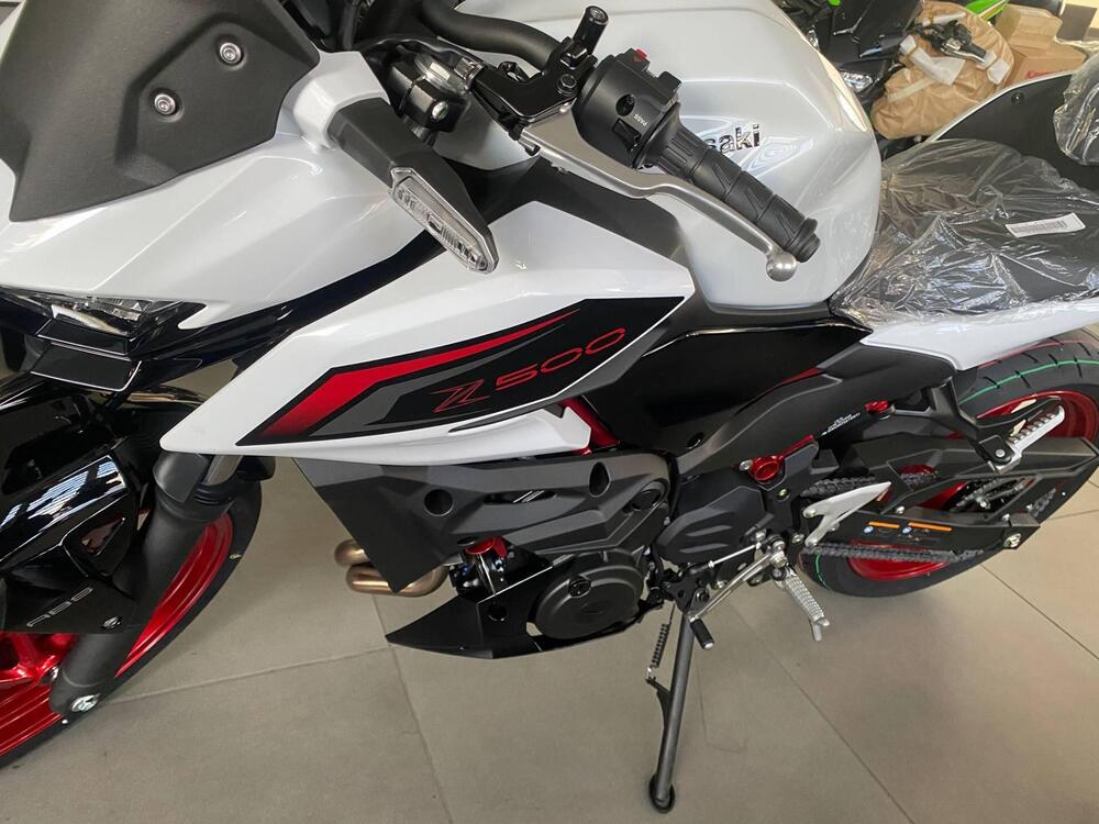 Kawasaki Z 500 (2024 - 26) (5)