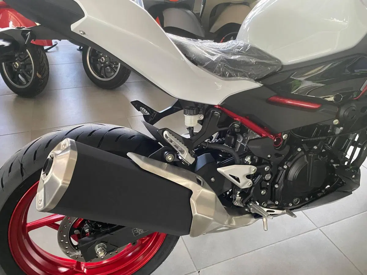 Kawasaki Z 500 (2024 - 26) (6)