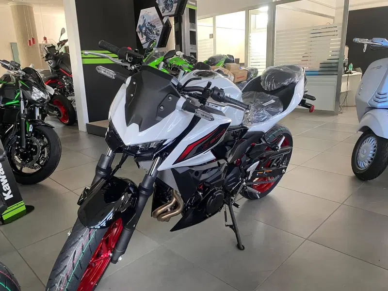 Kawasaki Z 500 (2024 - 26)