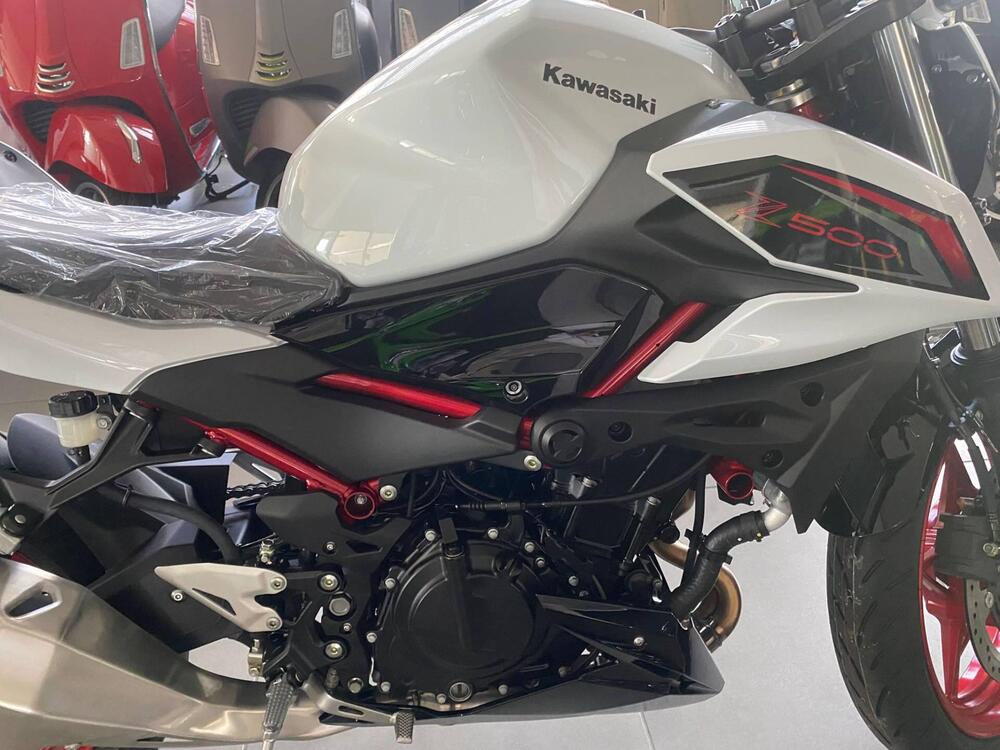 Kawasaki Z 500 (2024 - 26) (4)