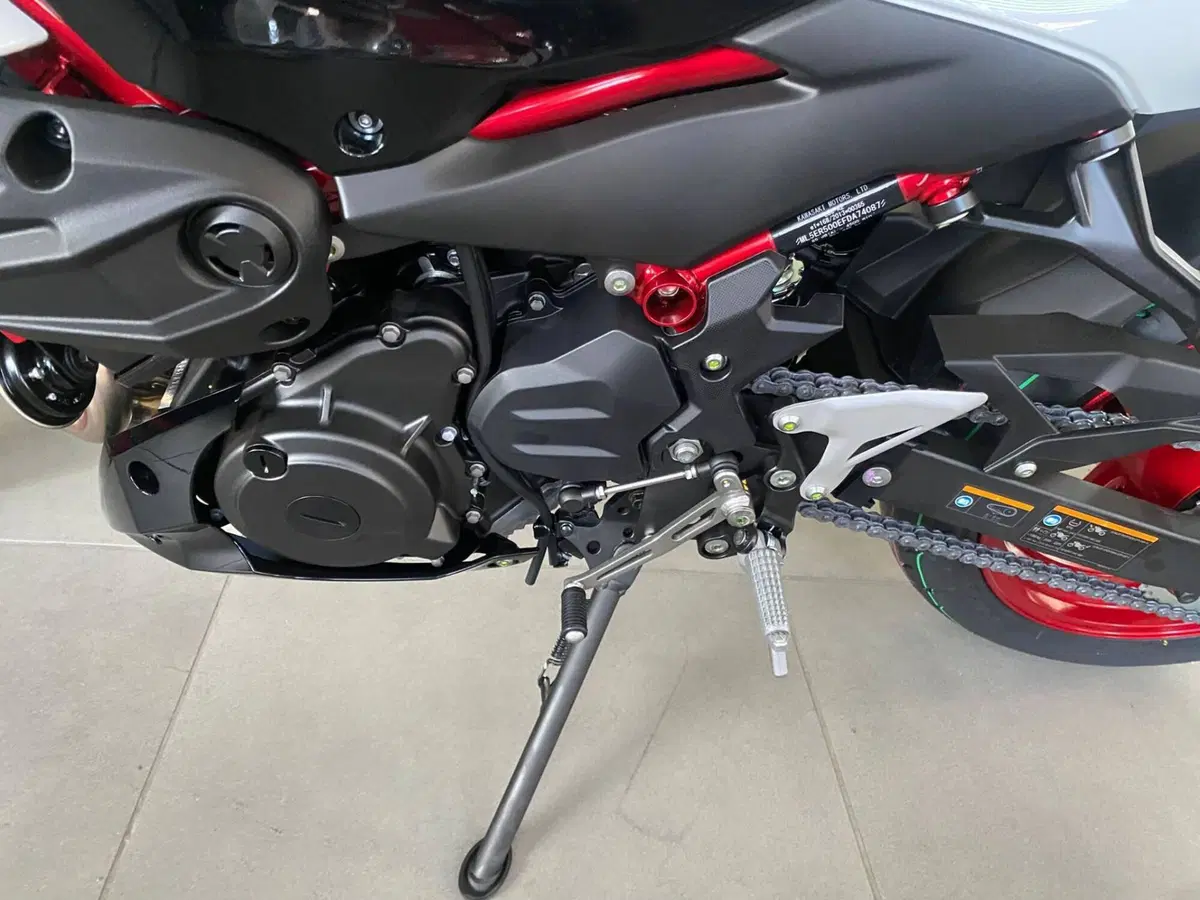 Kawasaki Z 500 (2024 - 26) (7)