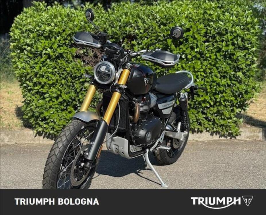 Triumph Scrambler 1200 XE (2024 - 25) (3)