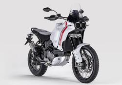 Ducati DesertX (2022 - 25) usata