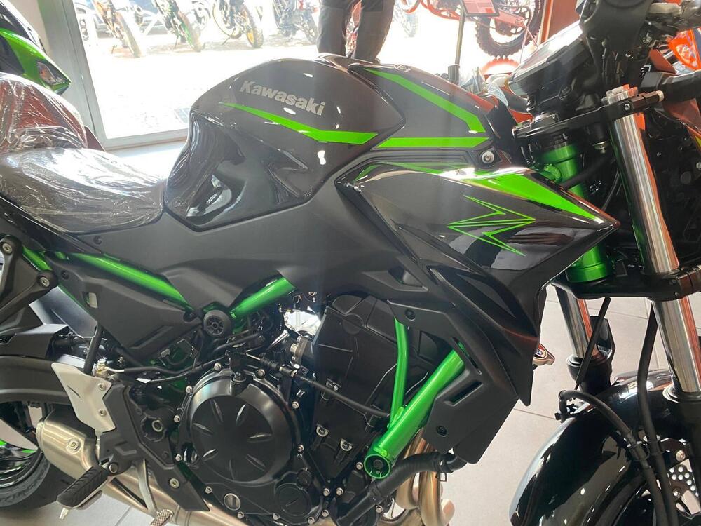 Kawasaki Z 650 (2025 - 26) (4)
