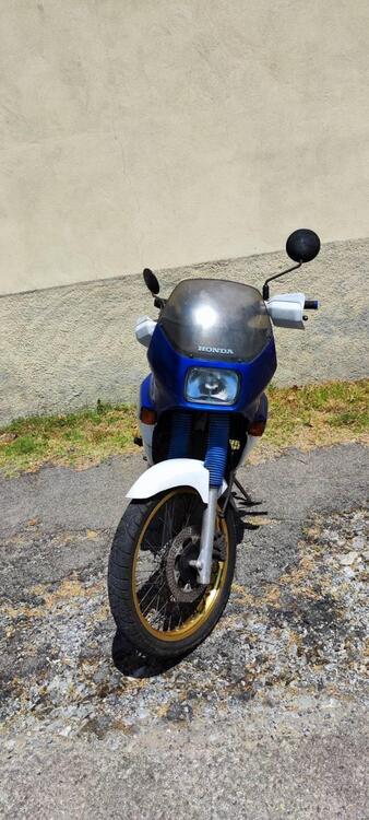 Honda transalp 600V (5)