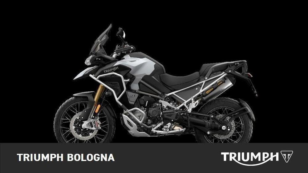 Triumph Tiger 1200 Rally Explorer (2022 - 23) (2)