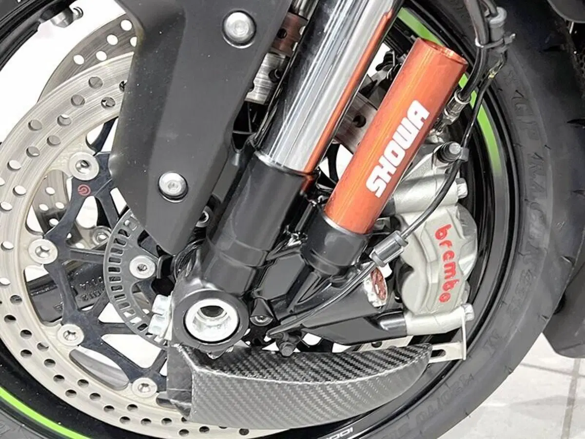 Kawasaki Ninja 1000 ZX-10R (2021 - 25) (3)