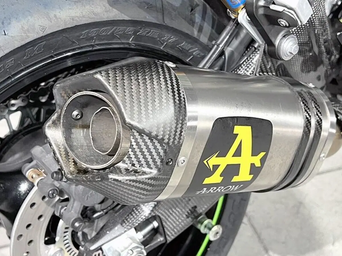 Kawasaki Ninja 1000 ZX-10R (2021 - 25) (4)