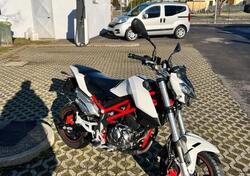 Benelli Tornado Naked T 125 (2017 - 20) usata