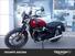 Triumph Speed Twin 900 (2023 - 24) (10)