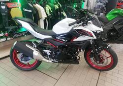 Kawasaki Z 500 SE (2024 - 26) nuova
