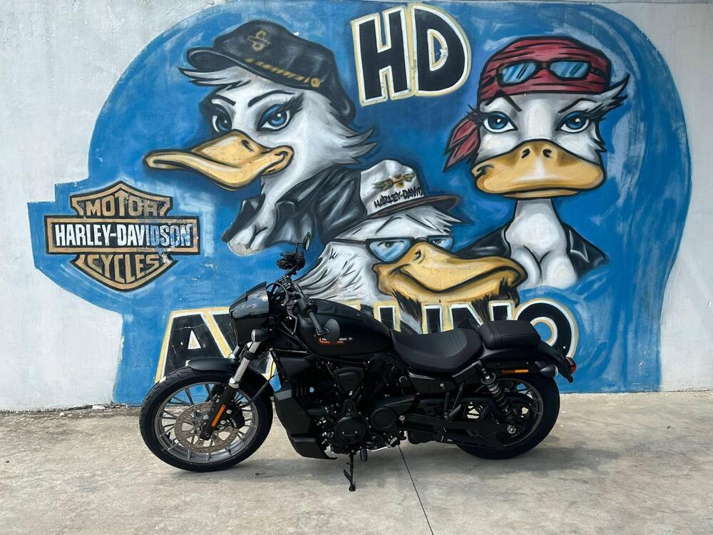 Harley-Davidson Nightster Special (2023 - 25)