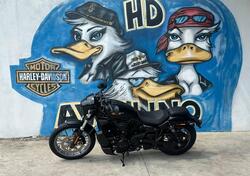 Harley-Davidson Nightster Special (2023 - 25) nuova