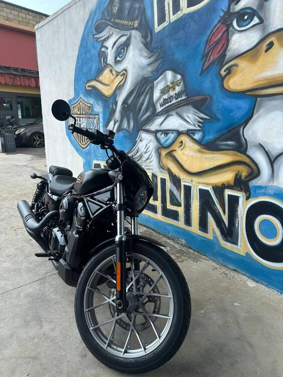 Harley-Davidson Nightster Special (2023 - 25) (3)