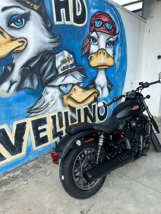 Harley-Davidson Nightster Special (2023 - 25) (5)