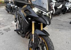 Voge Valico 525DSX (2023 - 25) usata