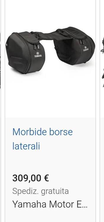 Borse Yamaha mt09 (2)