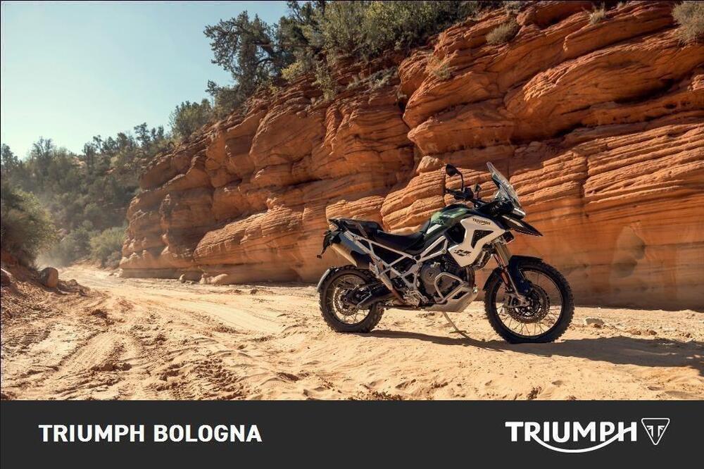 Triumph Tiger 1200 Rally Pro (2022 - 23) (3)