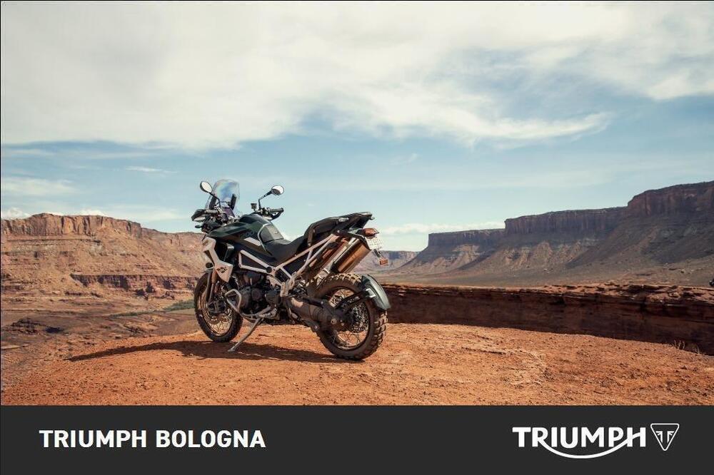 Triumph Tiger 1200 Rally Pro (2022 - 23) (4)