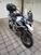 Triumph Tiger 1200 GT Pro (2022 - 23) (6)